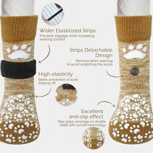 EXPAWLORER Anti Slip Dog Socks