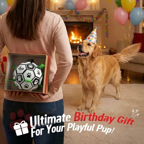 Person hiding a dog toy behind their back, with a happy dog wearing a party hat in a festive room.