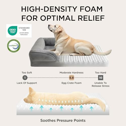 Dog lying on high-density foam bed with softness scale and certifications.