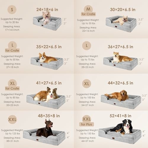 Dog bed size guide with various dog breeds in different bed sizes.