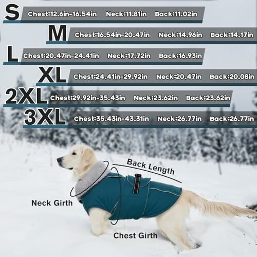 Dog coat size chart with a dog wearing a coat in the snow.
