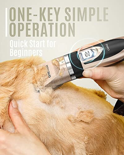 Pet hair trimmer being used on a dog.