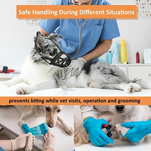 Dog with muzzle being handled by vet, tools for grooming and nail trimming.