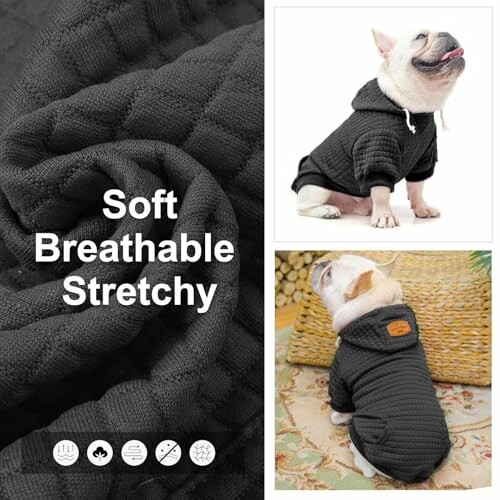 French Bulldog wearing a black sweater, with soft breathable fabric displayed.