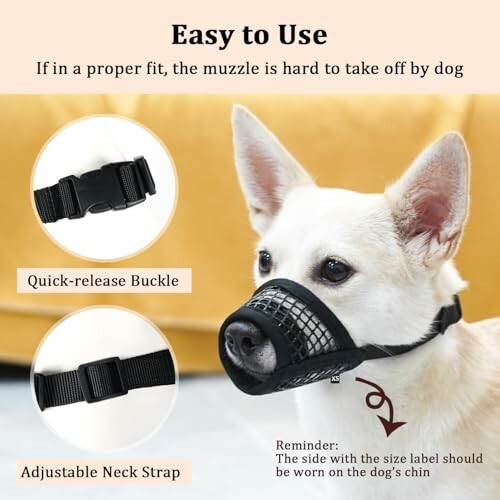 Dog wearing a muzzle with quick-release buckle and adjustable neck strap.