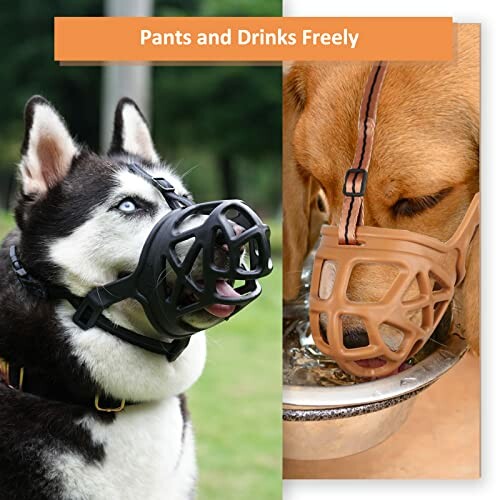 Two dogs wearing breathable muzzles.