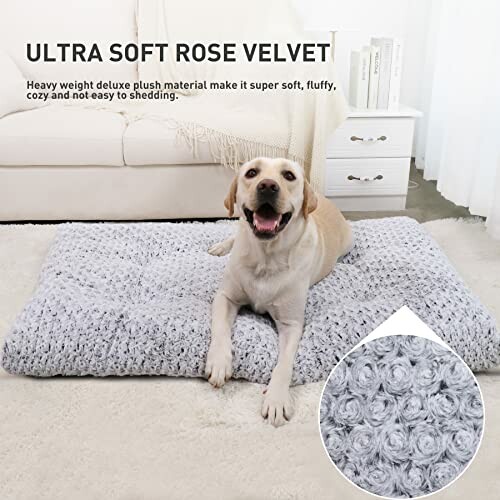 KSIIA Washable Dog Bed