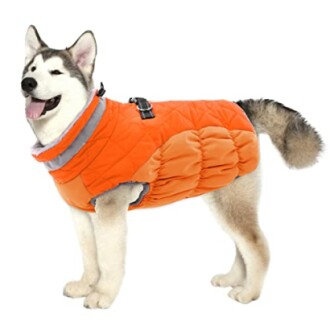 Lelepet Dog Coat