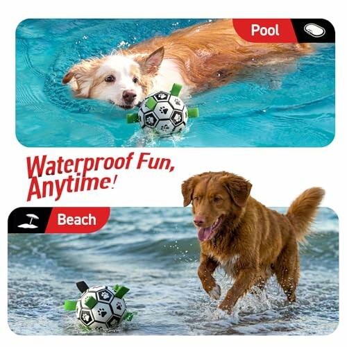 Dogs playing with a ball in water.