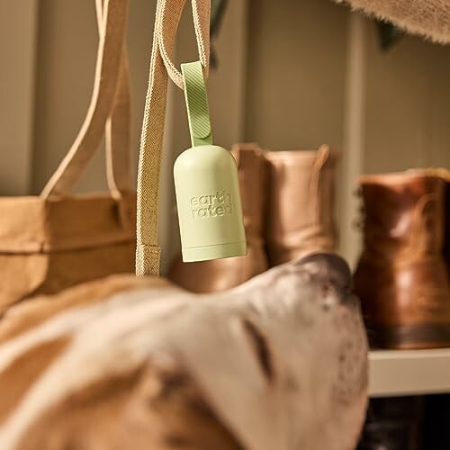 Dog poop bag dispenser hanging near dog and boots for a seamless experience during walks.