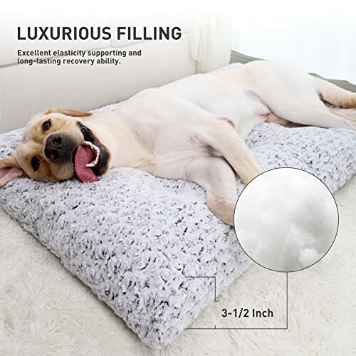 Dog resting on a plush pet bed with luxurious filling.