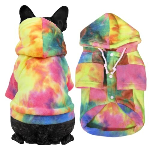 Dog wearing a colorful tie-dye hoodie with a matching hoodie shown separately.