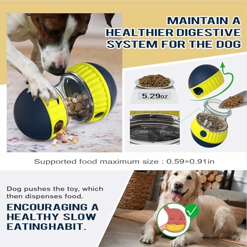Dog using toy feeder for healthy slow eating.