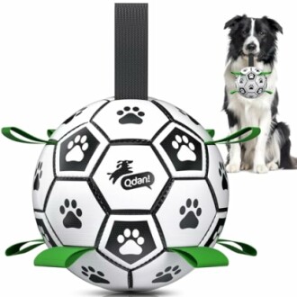 Dog with soccer ball toy featuring paw prints and green tabs.