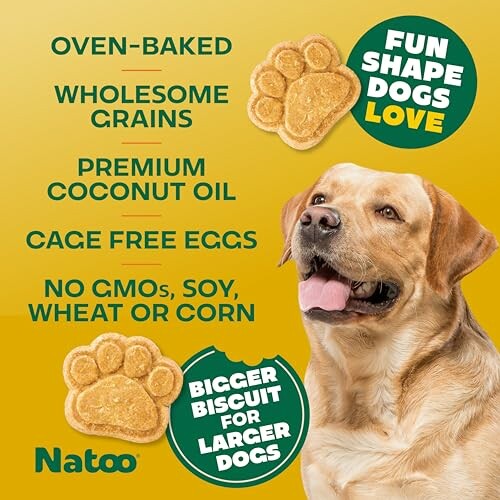 Dog treats with benefits like oven-baked, wholesome grains, premium coconut oil, cage-free eggs, and no GMOs, soy, wheat, or corn.