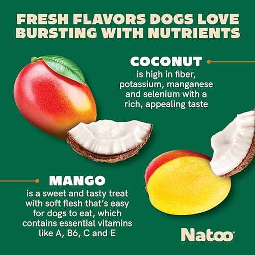 Natoo dog treats with coconut and mango flavor.
