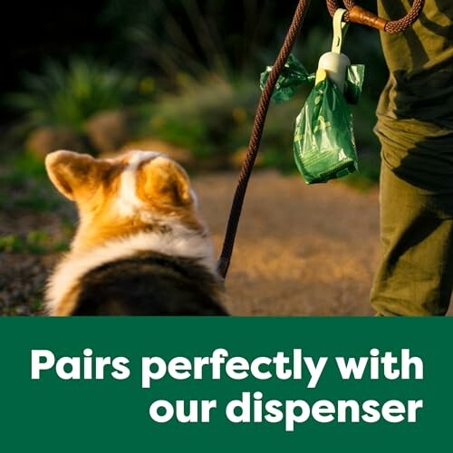 Person holding a dog waste bag dispenser next to a dog.