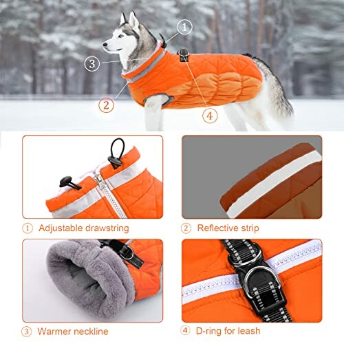 Dog wearing an orange winter coat with adjustable drawstring, reflective strip, warmer neckline, and D-ring for leash.