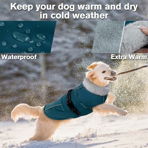Dog wearing a warm waterproof coat in snowy weather.