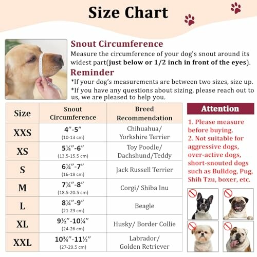 Dog snout circumference size chart with breed recommendations.