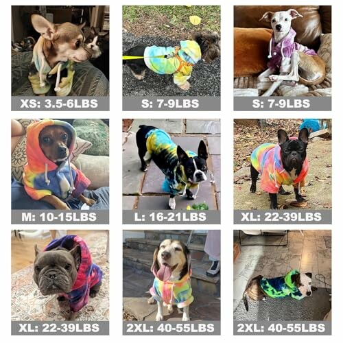 Grid of nine dogs wearing colorful hoodies, each labeled by size from XS to 2XL.