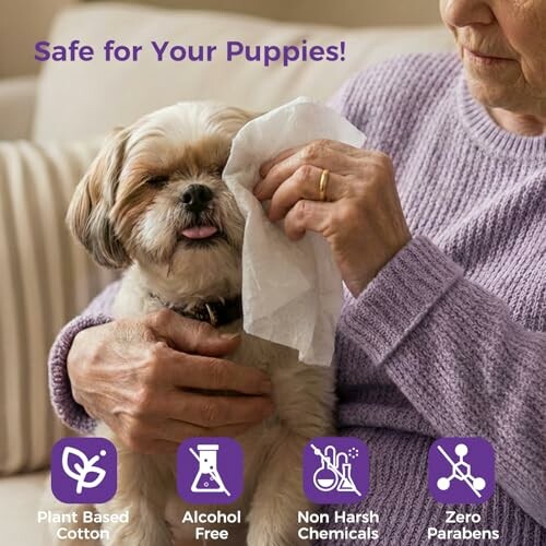 Elderly woman gently cleaning a small dog's face with a cloth.