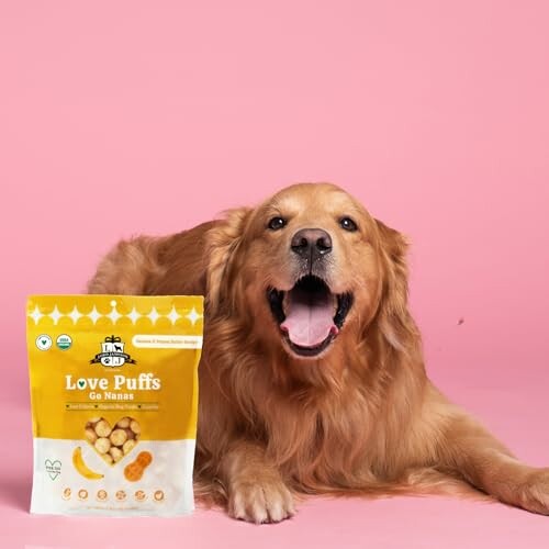 Golden retriever lying on pink background with Love Puffs dog treats.