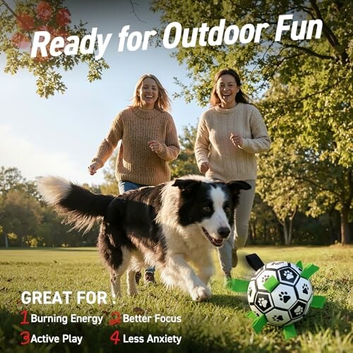 QDAN Dog Balls