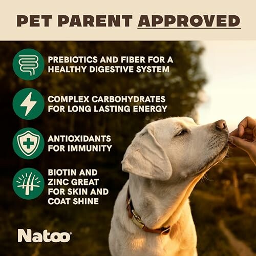 Dog receiving treat with health benefit icons for digestion, energy, immunity, and coat shine.