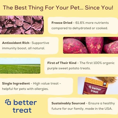Pet treat benefits highlighting freeze dried nutrients, antioxidant support, first organic sweet potato treats, single ingredient for allergies, and sustainable sourcing.