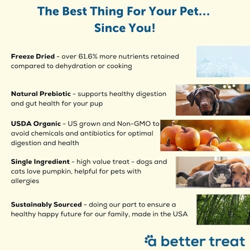 Infographic highlighting benefits of pet treats, including freeze-dried, natural prebiotic, USDA organic, single ingredient, and sustainably sourced options.