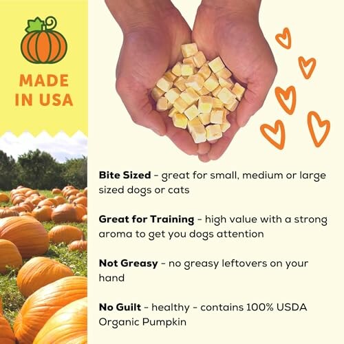 Hands holding dog treats with pumpkin field background and product benefits.