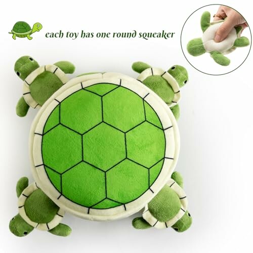 Green turtle plush dog toy with squeaker.