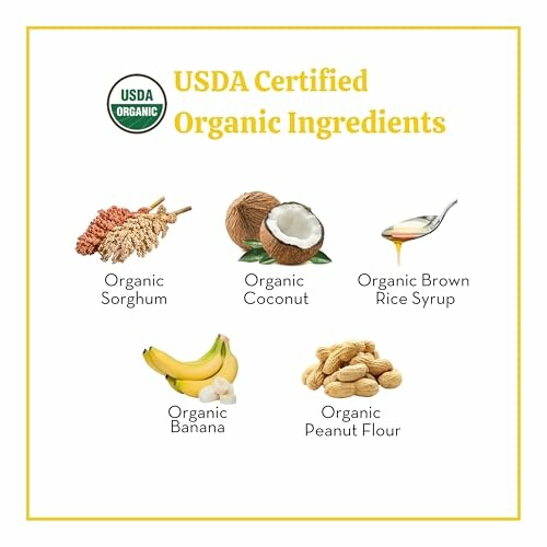 USDA Certified Organic Ingredients including sorghum, coconut, brown rice syrup, banana, and peanut flour.