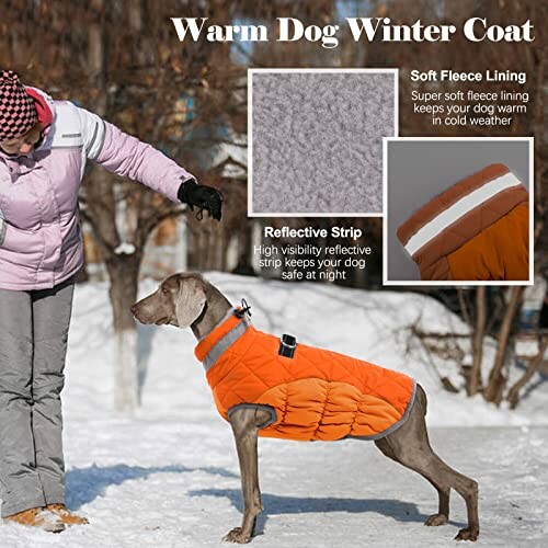 Dog wearing an orange winter coat in the snow with owner.